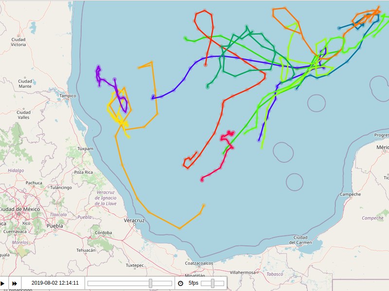Ocean Buoy Path Planning Simulation